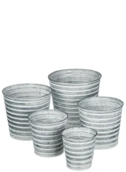 Sullivans Set Of 5 Pail Planter 4"H, 4.5"H, 5.25"H, 6"H & 7"H Gray -Cheap Sullivan Living Store GUEST 0921cf7c d637 41fe 917e 41076f6abe5b