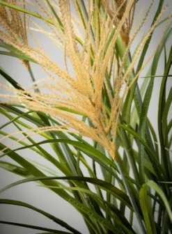 Cheap Sullivan Living Store 27 Sullivans Artificial Potted Agave Reed