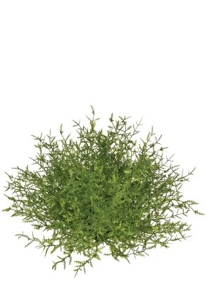 Sullivans Feather Fern Half Orb Decorative Filler 4 Sullivans Feather Fern Half Orb Decorative Filler - Image 4