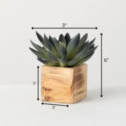 Sullivans Artificial Potted Succulent 6"H Green 13 Sullivans Artificial Potted Succulent 6"H Green -Cheap Sullivan Living Store GUEST 2475955d 8d42 4cc0 b718 bf3c5417b85f