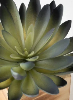 Sullivans Artificial Potted Succulent 6"H Green