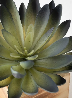 Sullivans Artificial Potted Succulent 6"H Green 1 Sullivans Artificial Potted Succulent 6"H Green