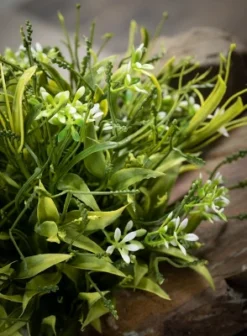 Sullivans Artificial Smilax Orb 5.5"H Green