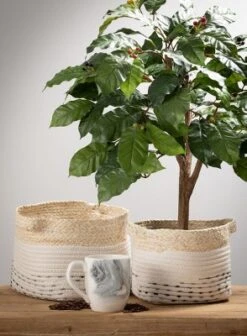 Sullivans Set Of 2 Basket Maize & Natural Basket 7"H & 7.5"H Off-White