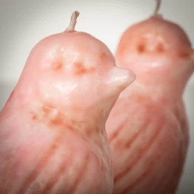 3.5"H Sullivans Pink Bird Candles - Set Of 2, Pink 1 3.5"H Sullivans Pink Bird Candles - Set Of 2, Pink