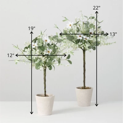 Sullivans Set Of 2 Artificial Daisy Eucalyptus Topiary 22"H & 19"H Green 4 Sullivans Set Of 2 Artificial Daisy Eucalyptus Topiary 22"H & 19"H Green - Image 4