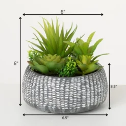 Sullivans Artificial Succulent In Cement Planter 6"H Green -Cheap Sullivan Living Store GUEST 85268cda a12b 454c b4f2 bb17536087cc