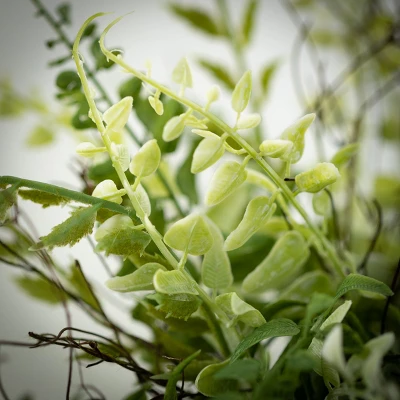 Sullivans Artificial Fern Twig Half Orb 12"H Green 1 Sullivans Artificial Fern Twig Half Orb 12"H Green