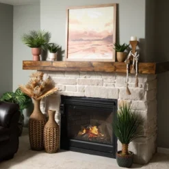 36"H Sullivans Veined Zebra Palm Plant, Green -Cheap Sullivan Living Store GUEST a3a5835f f5ac 43d1 a032 246a3e8d3b5f