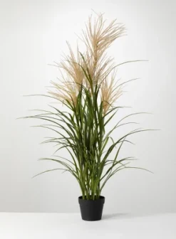 Sullivans Artificial Potted Agave Reed -Cheap Sullivan Living Store GUEST afa9ea2a e828 4a4d 938a 2b83b3f86fe6