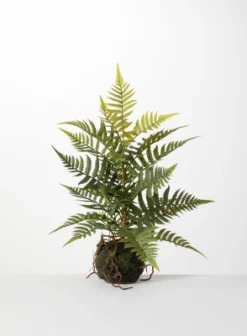 Sullivans Artificial Fern In Ball 7 Sullivans Artificial Fern In Ball -Cheap Sullivan Living Store GUEST bb056bbe 75fe 482a a13b af26a2d2f2e8