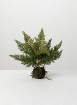 Sullivans Artificial Fern In Ball 6 Sullivans Artificial Fern In Ball -Cheap Sullivan Living Store GUEST c0e1cdf8 1554 40cb b369 f14637aa0f66