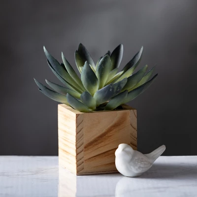 Sullivans Artificial Potted Succulent 6"H Green 2 Sullivans Artificial Potted Succulent 6"H Green - Image 2