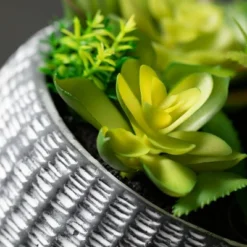 Cheap Sullivan Living Store 22 Sullivans Artificial Succulent In Cement Planter 6"H Green