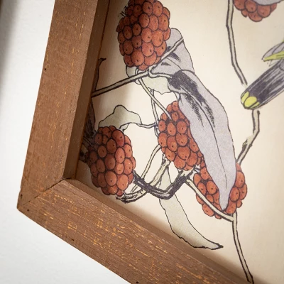 Bird Wall Art Multicolor 18"H Wood Set Of 4 1 Bird Wall Art Multicolor 18"H Wood Set Of 4