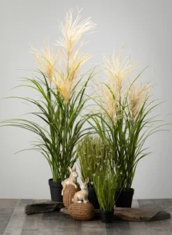 Sullivans Artificial Potted Agave Reed -Cheap Sullivan Living Store GUEST e8bf9cd4 6857 45e7 8be5 daf64fb3a83b